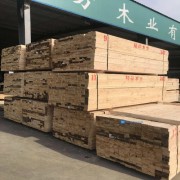 城陽工(gōng)地木方回收價格表-青島木方回收價格