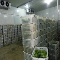 西安長安大(dà)型冷庫回收目前價格-西安各區回收冷庫站點