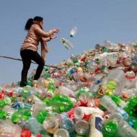 上海青浦廢塑料回收價格