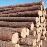 鹽城木材回收公司大(dà)量收購各種木頭