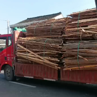 廠裏每天五六十噸木料處理